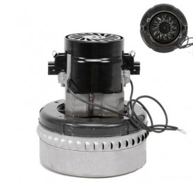 ATOME Alligator  116354 ATOME Alligator  116354